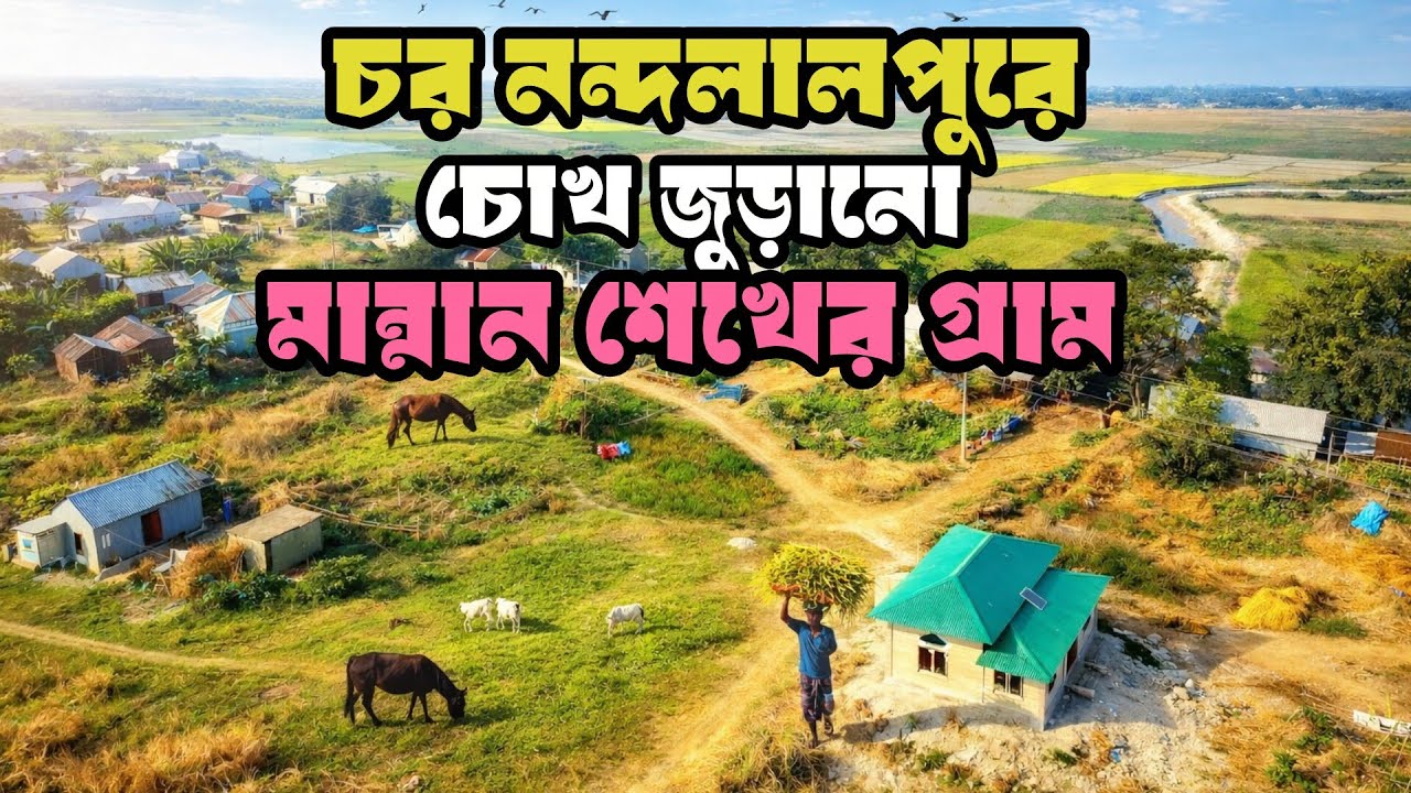 নন্দলালপুর চর||মান্নান শেখের গ্রাম||পদ্মার চরে মানুষের সংগ্রাম আর সৌন্দর্যের গল্প||