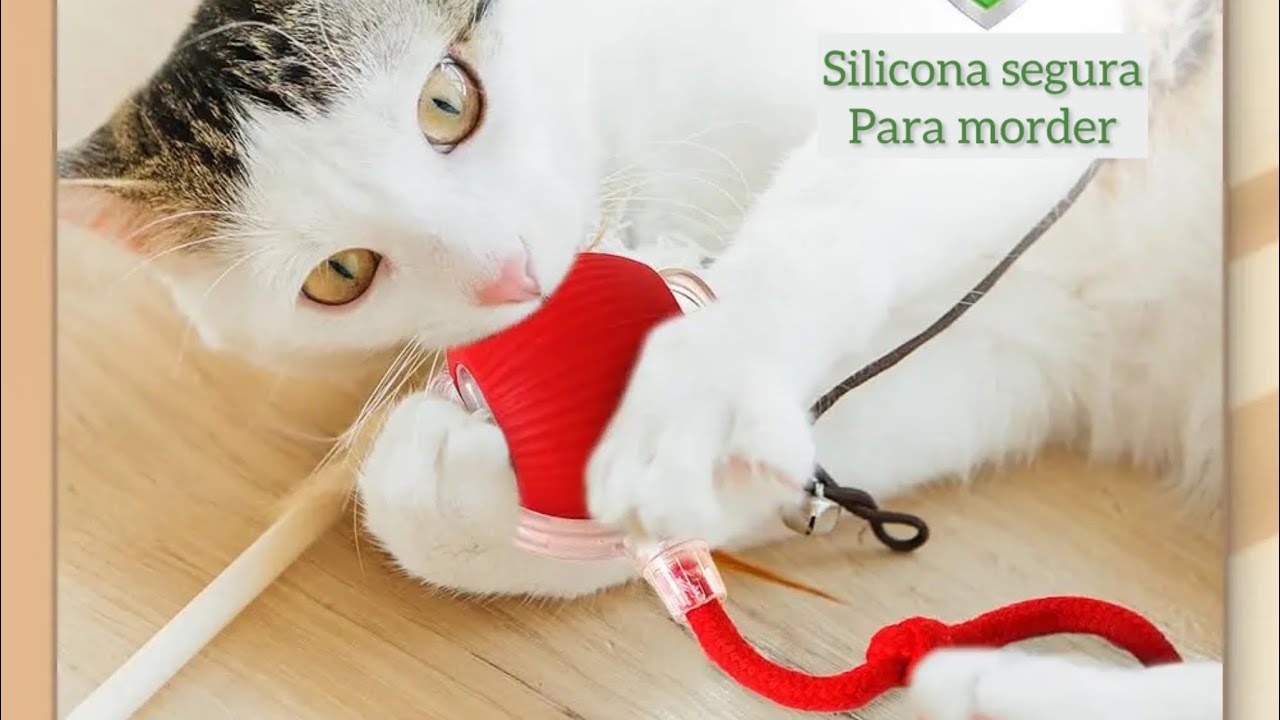 Pelota interactiva para Gatos
