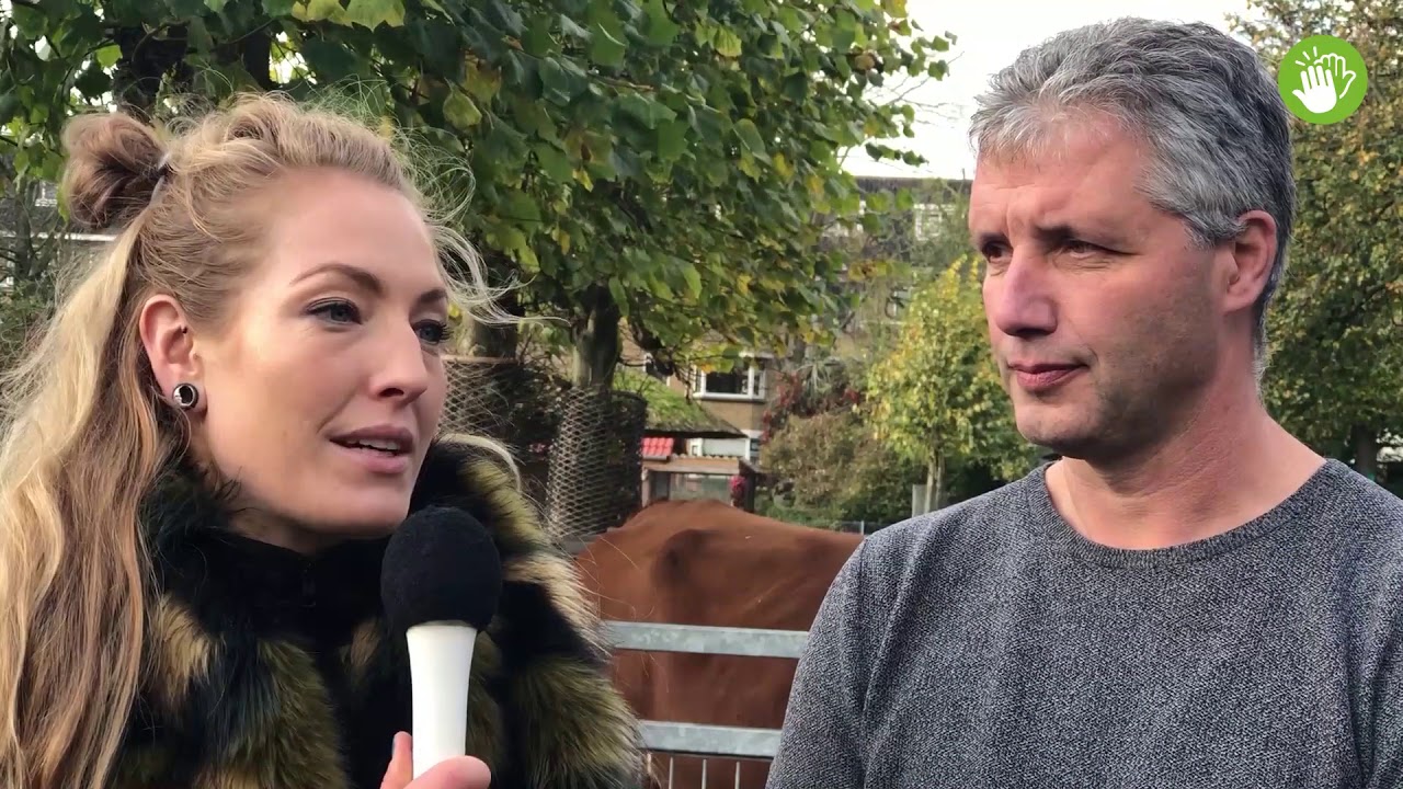 Het rattenprobleem in Moerwijk: aflevering 3