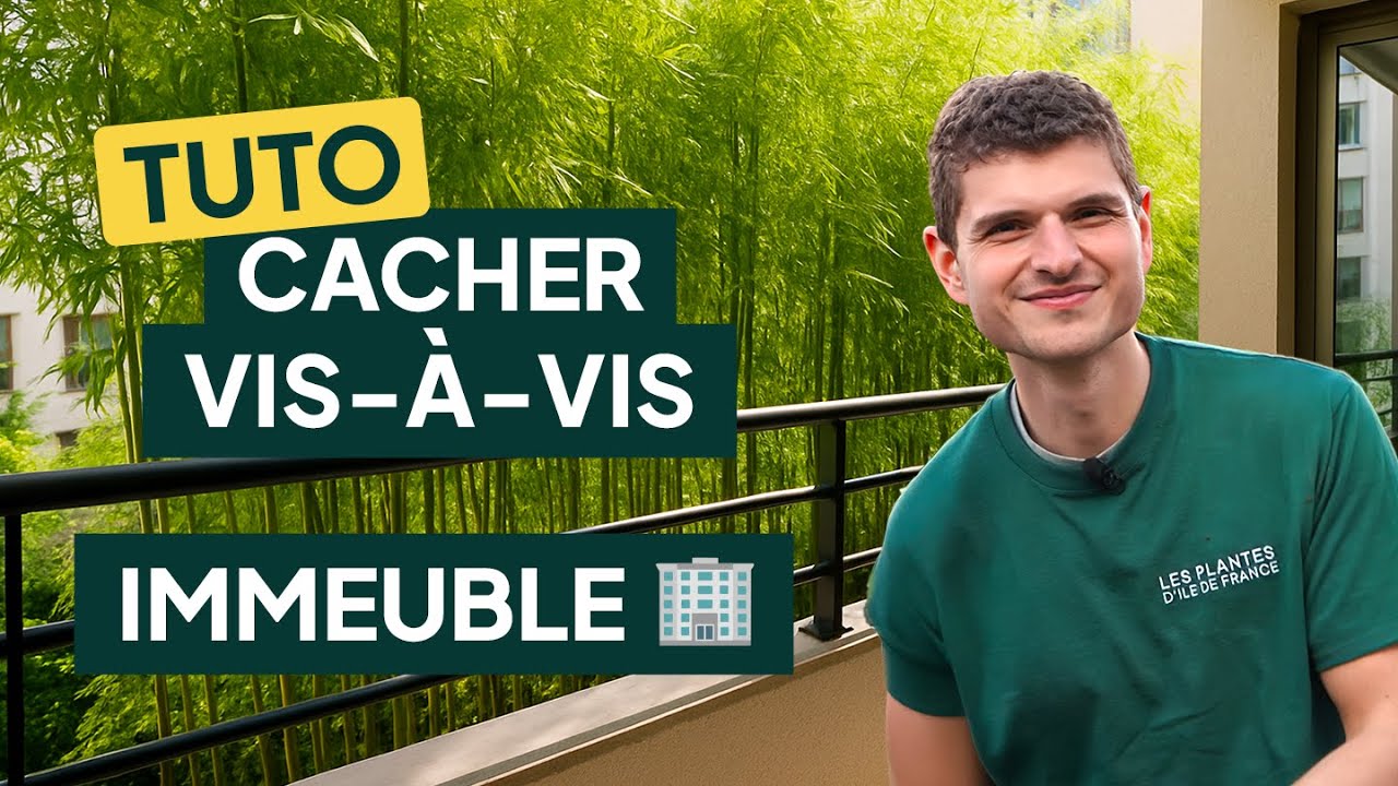 Comment cacher le vis-à-vis d'un immeuble