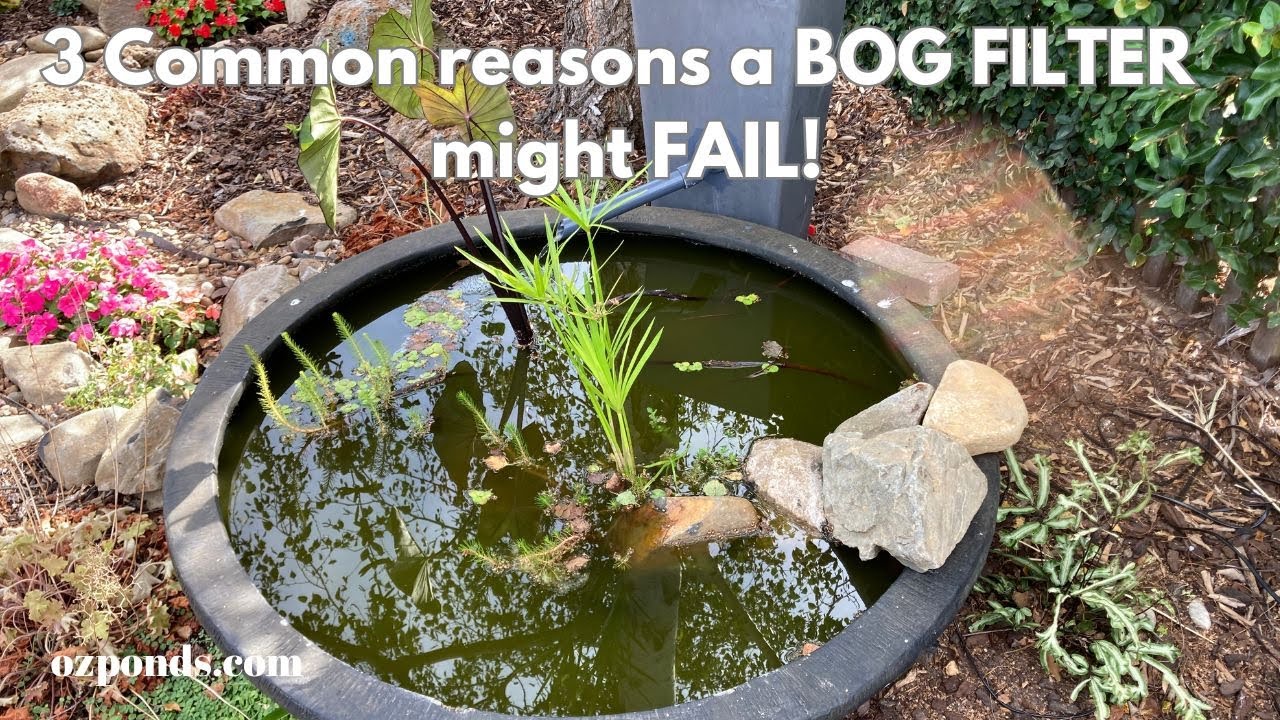 3 Common reasons a bog filter might fail