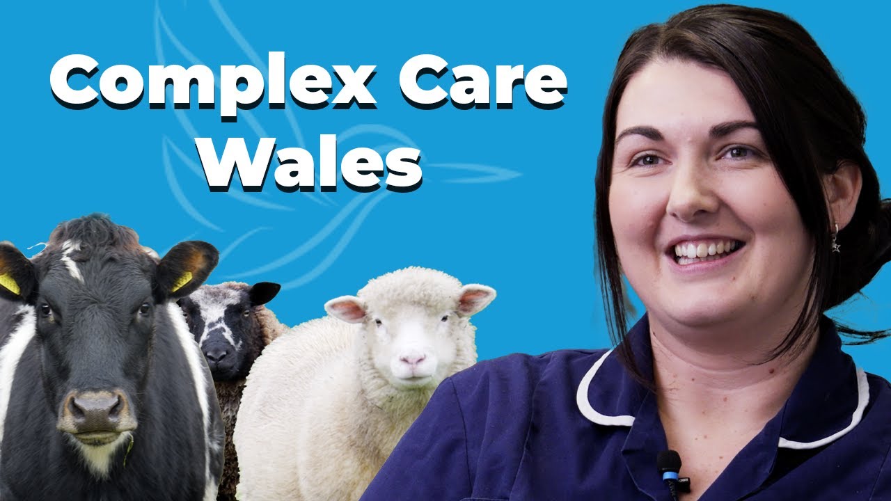 Alcedo Care - Complex Care in Wales