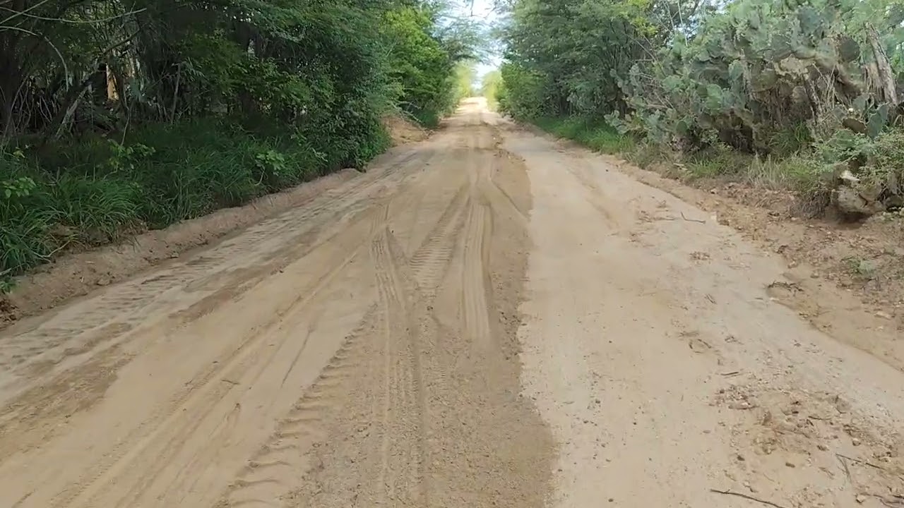 Estrada de Nosso Curimataú Paraibano Vejam 