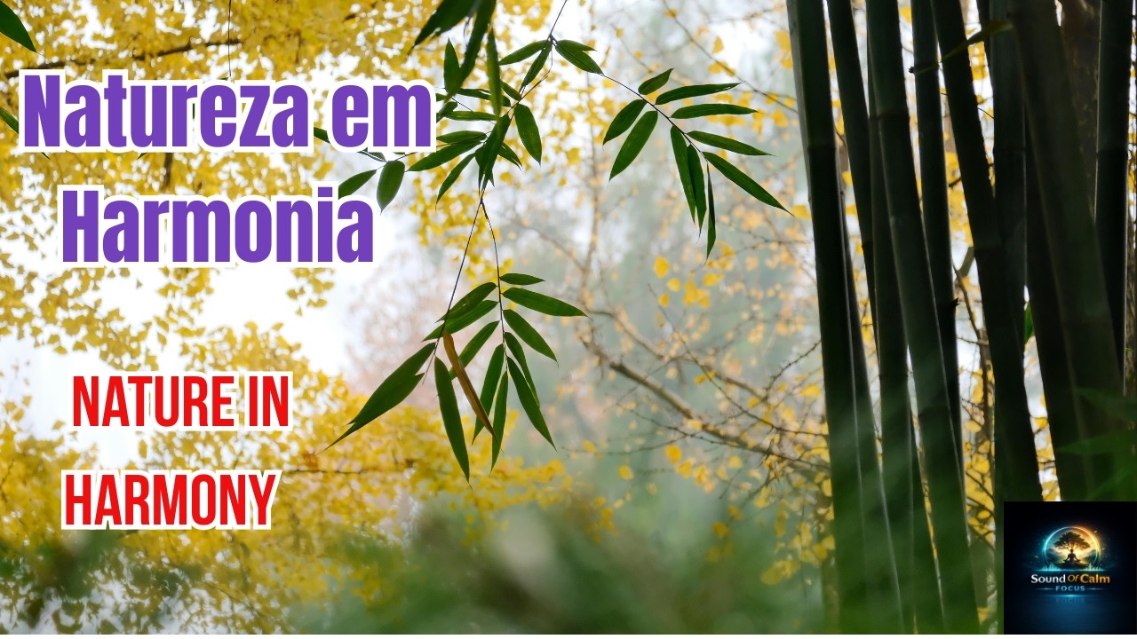 Natureza em Harmonia   Nature in Harmony