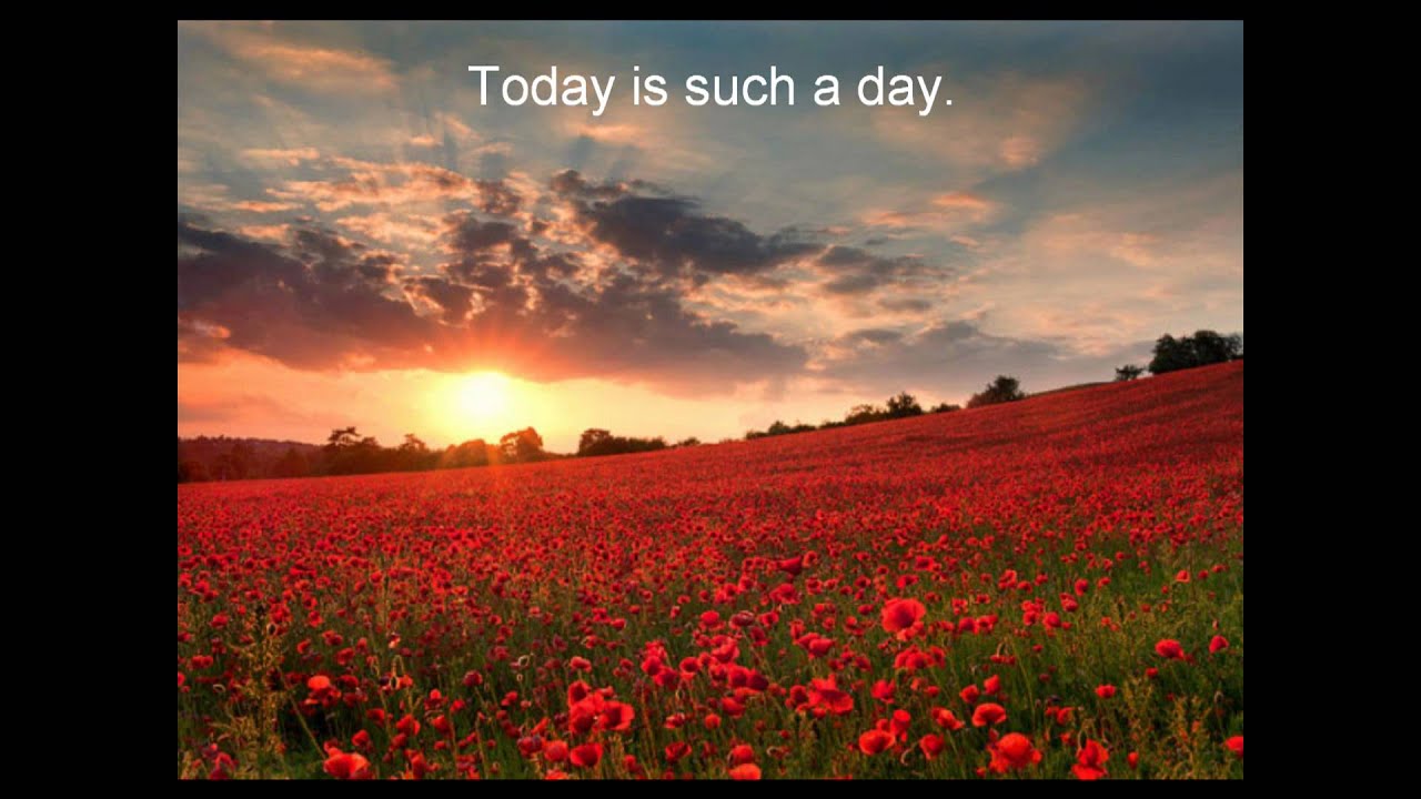 Rumi  - On a day when the wind is perfect...