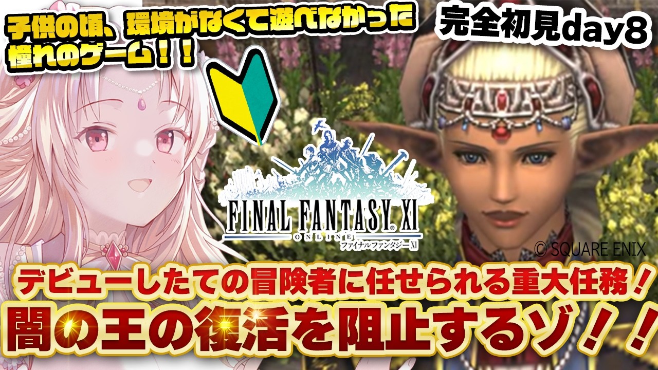 【 FF11 / 完全初見 day8 】少しずつ任せられることが重大になってきたゾ！！次は・・闇の王の復活を阻止！！？【 VTuber 】