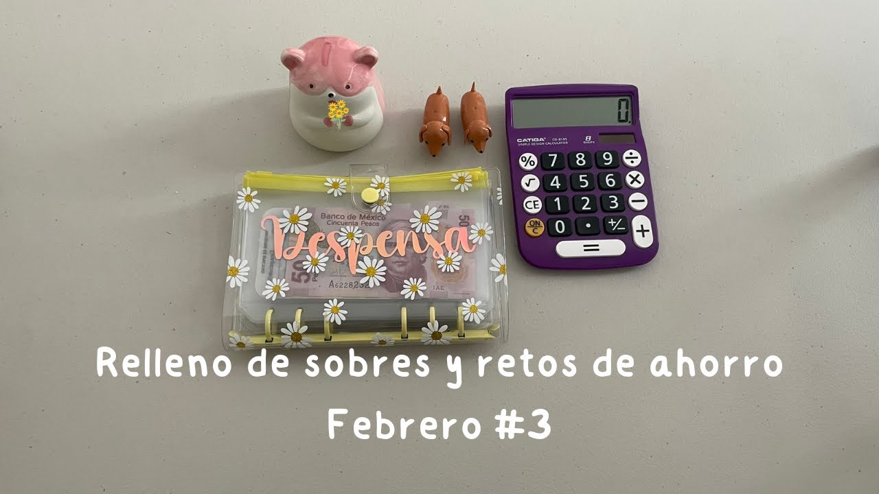 SISTEMA DE SOBRES💌|| Presupuesto Semanal || Tercera Semana de Febrero✨|| Pesos Mexicanos