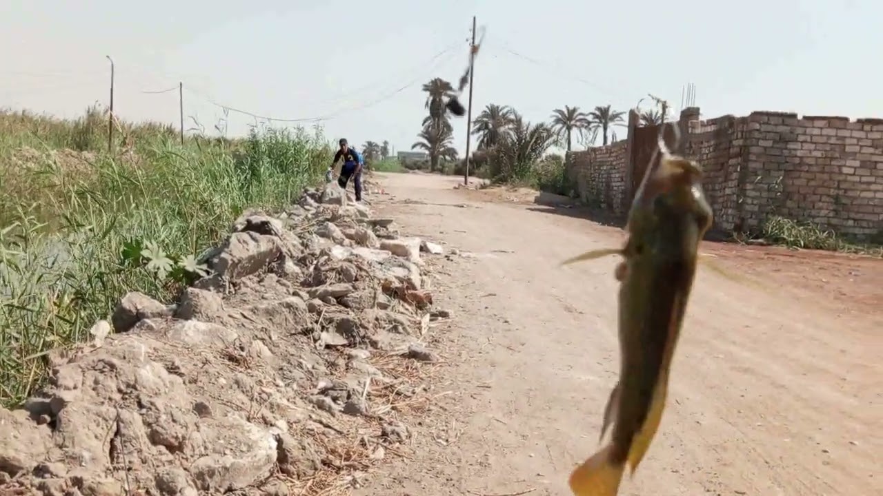 @الخلطة السحرية خلت دور الغلة والع نار