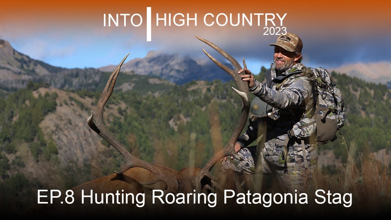 Hunting Roaring Patagonia Red Stag