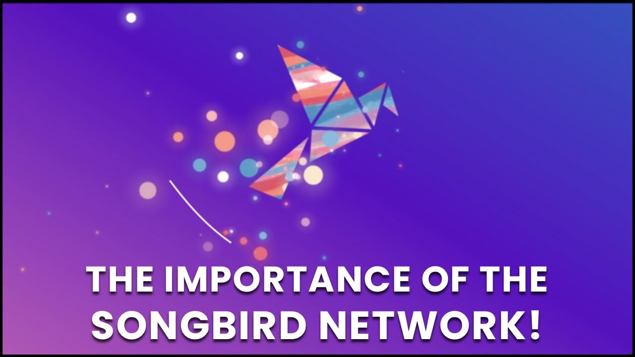The Importance of the Songbird Network