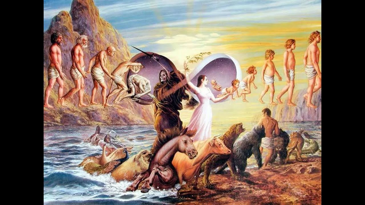 Who can Save us from the Ocean of Birth and Death? - Sri Acharyaji Lecture