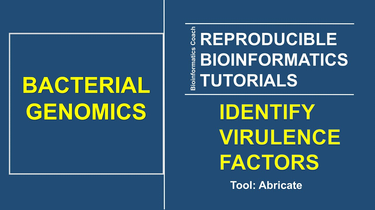 A bioinformatics tutorial on how to Identify Virulence Factors in Genomes using Abricate | Beginners