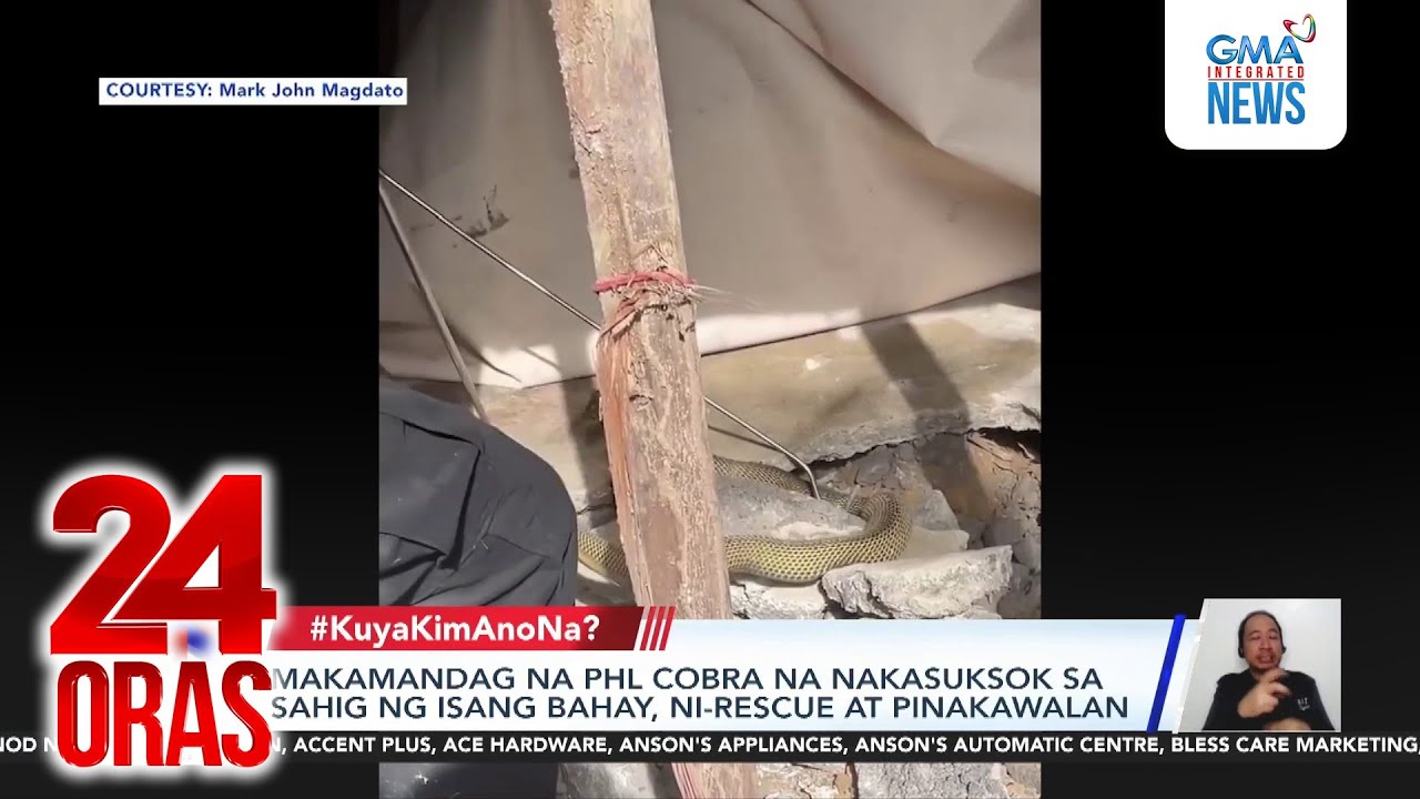 Makamandag na PHL Cobra na nakasuksok sa sahig ng isang bahay, ni-rescue at pinakawalan | 24 Oras