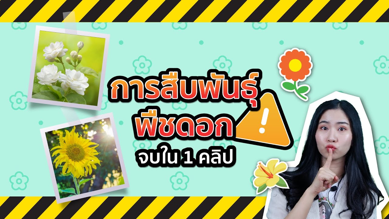 ติวฟรี การสืบพันธุ์ของพืชดอก จบใน 1 คลิป : ชีวะครูฝ้าย