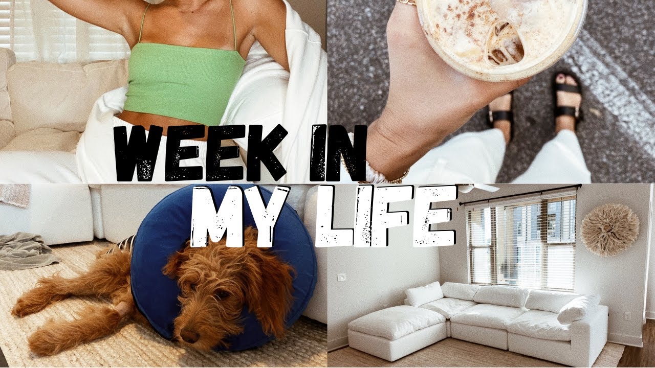 VLOG: the couch is here, Winnie gets fixed, how I'm really doing, apartment updates