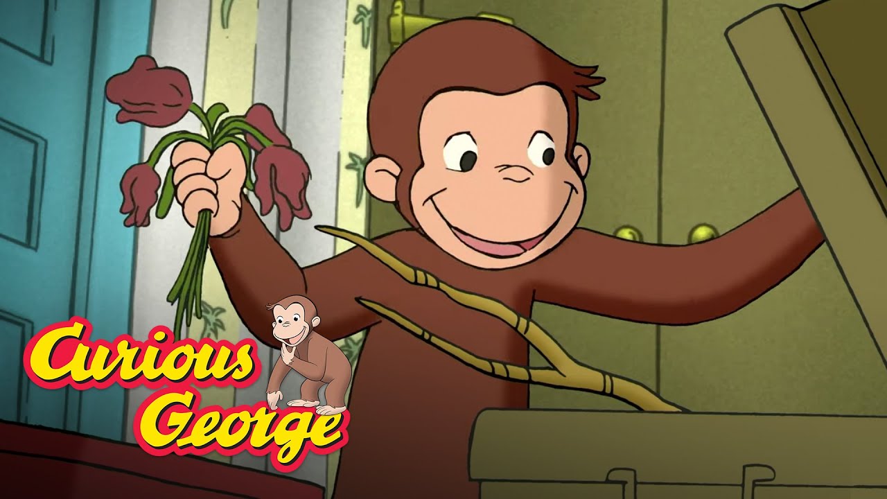 Eco George 🐵 Curious George 🐵Kids Cartoon 🐵 Kids Movies 🐵Videos for Kids