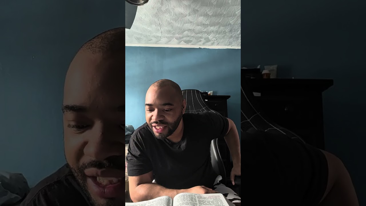Day 47 (excuse my dogs)