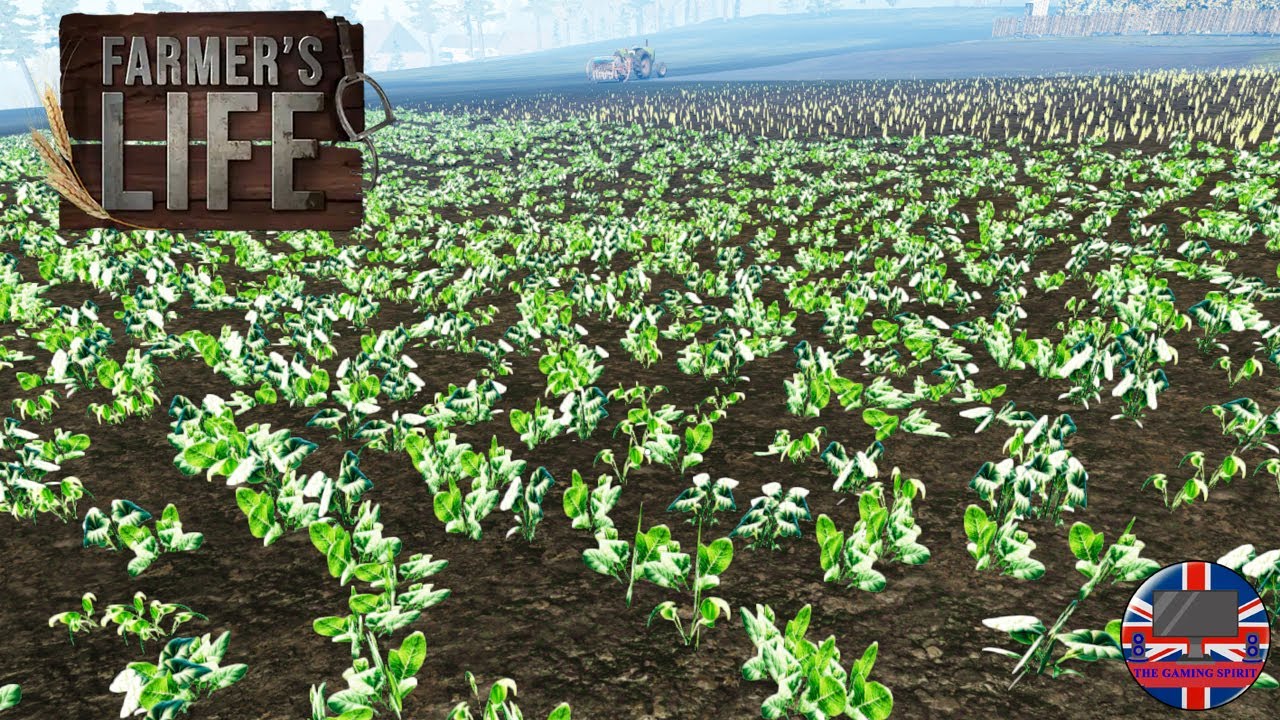 Farmer's Life | Getting Back Into Farming. This Process Takes To LONG!