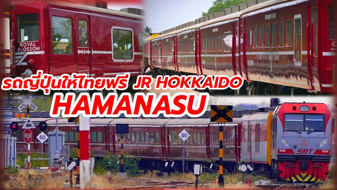 Hamanasu  เปิดตัวด้วยสีแดงสด รถฟรีจากญี่ปุ่น JR hokkaido #train