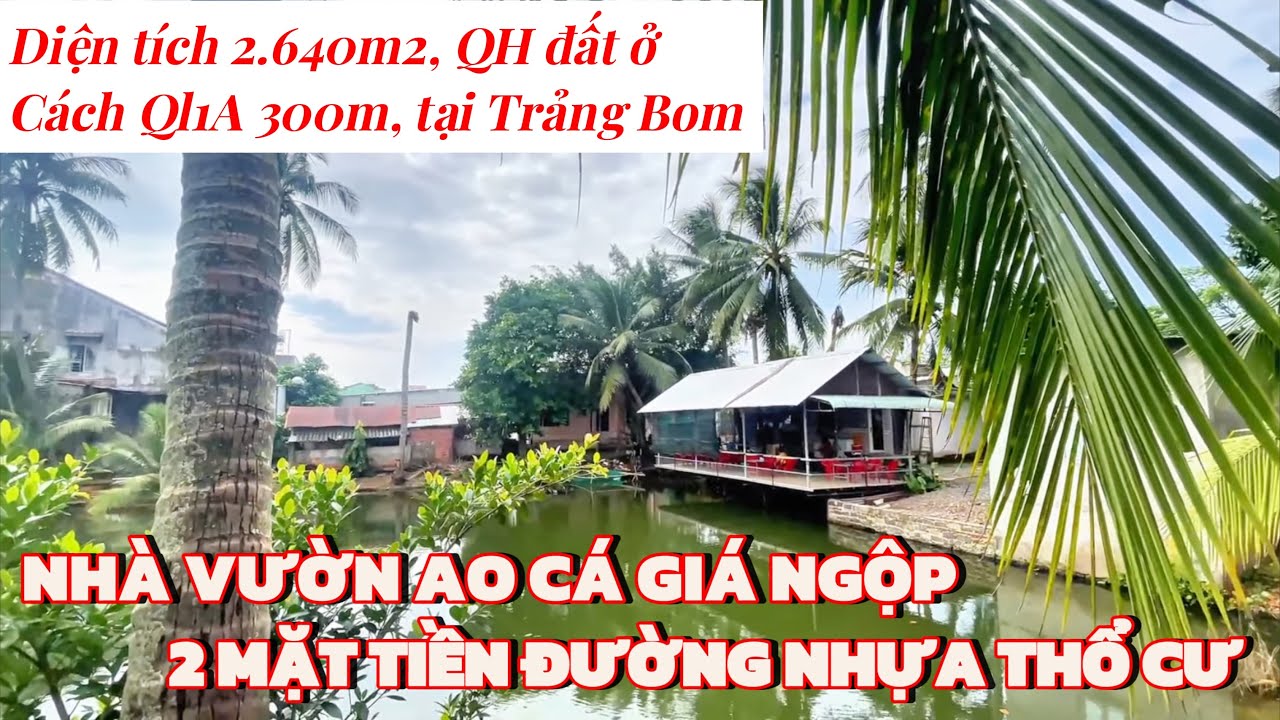 Nhà vườn ao cá, 2 mặt tiền đường, cách QL1A chỉ 300m, chủ ngộp đang cần bán gấp. Có nhà ở, thổ cư.