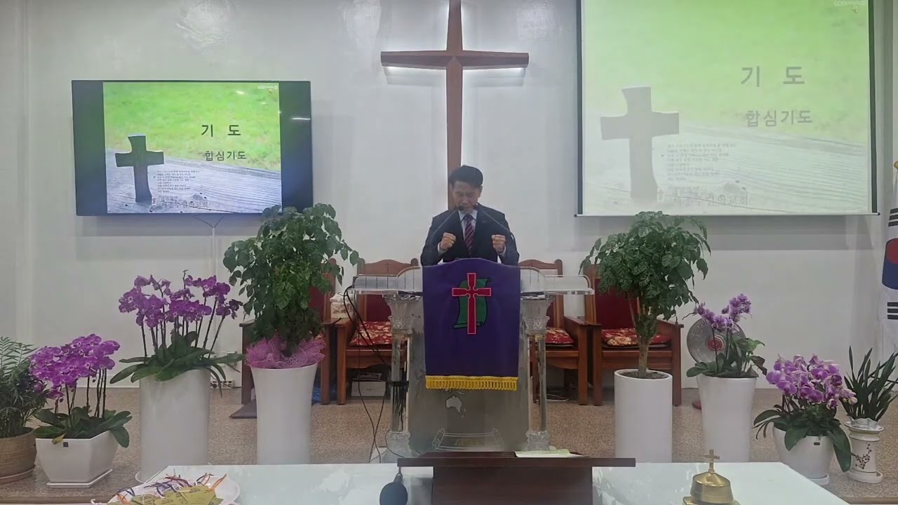 수요예배 온라인 방송 (2026년 2월 25일)