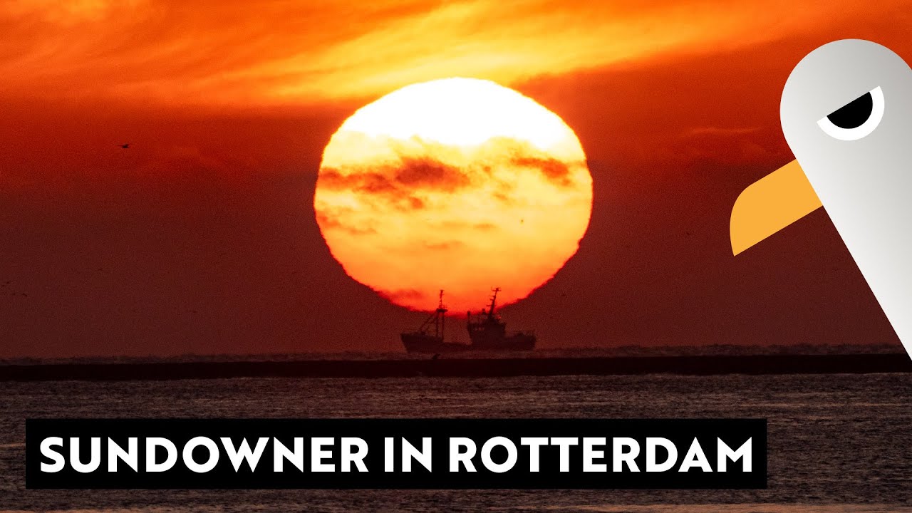 Rotterdam After Work ⚓️ Größter Container-Hafen Europas