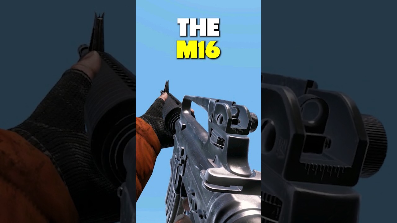 Should This Rifle Be DELETED?