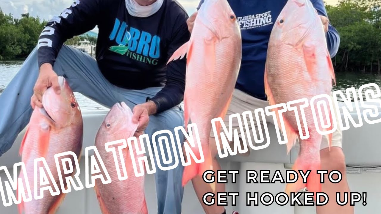 Marathon Mutton Snapper Fishing | Marathon mutton fishing | Florida Mutton Fishing 2024 | Fsftv