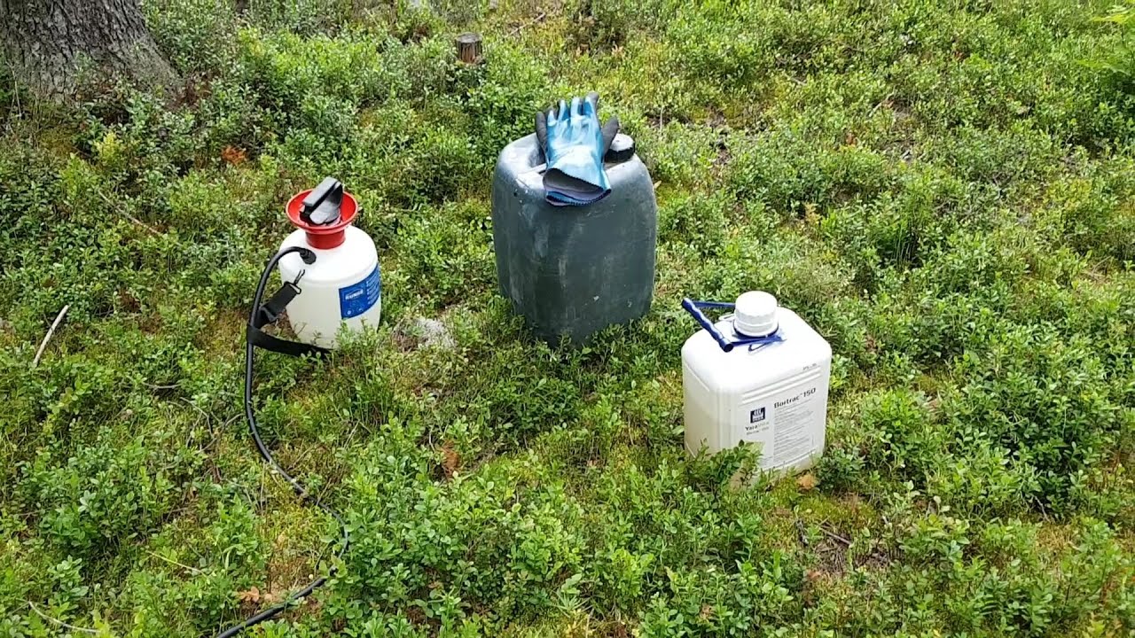 Boorilannoitus kuusikkoon - nopeaa hommaa!