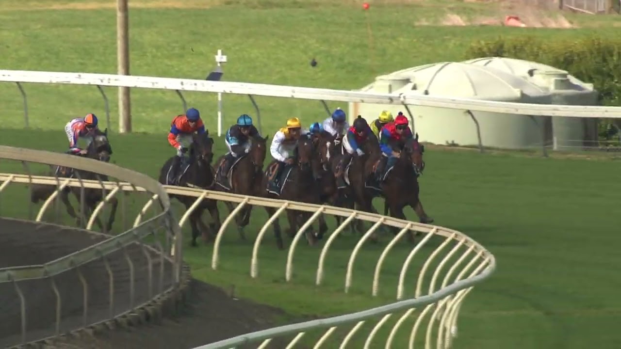 Champagne Stakes {NZ} 2024 - SOUTHERN WARRIOR (2YO LR SW) Listed Pukekohe 25 May