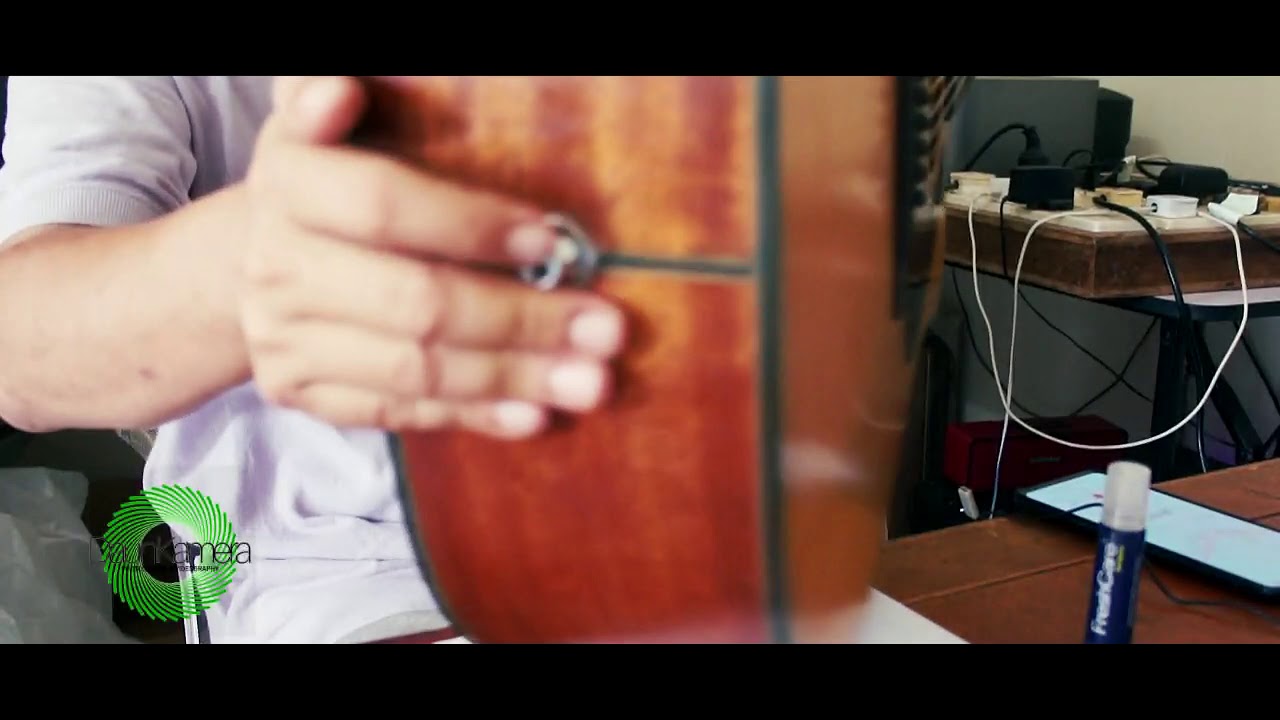 Takamine D Series