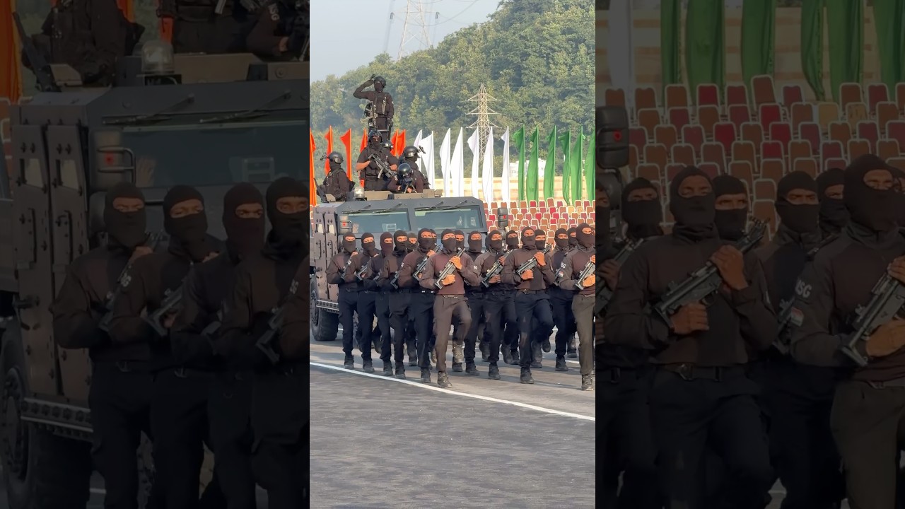 NSG commando dashu entry 