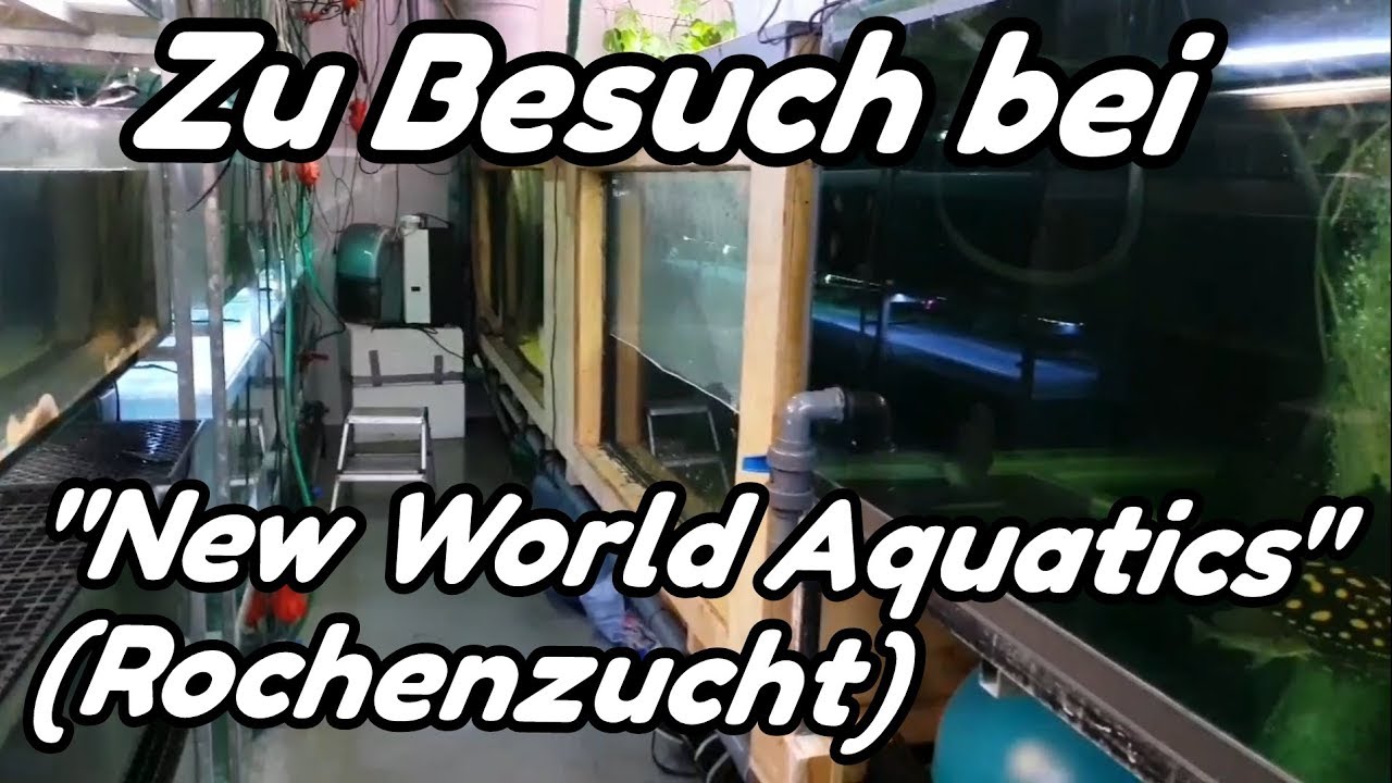 Zu Besuch bei 