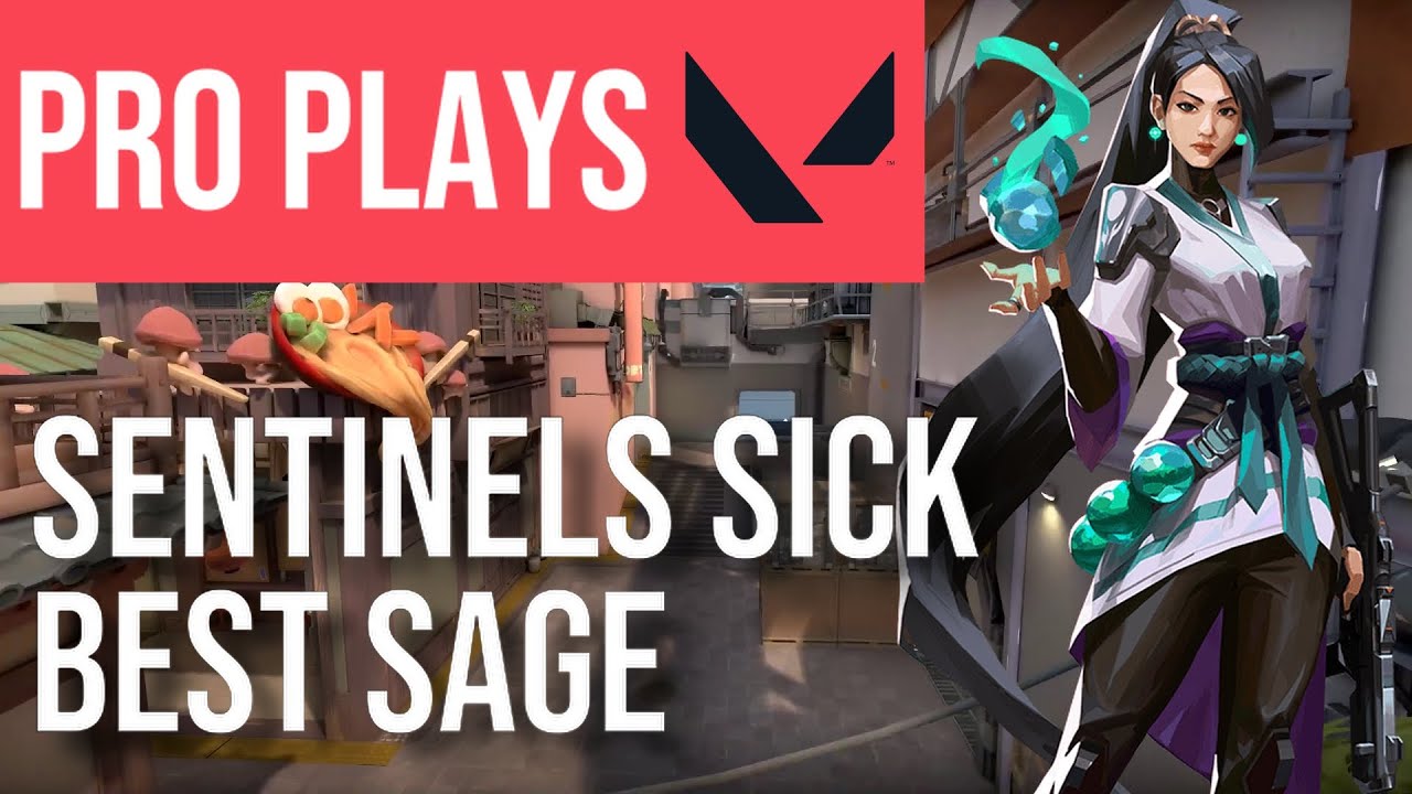Sage Split Guide | How to DOMINATE with Sage like SEN Sick