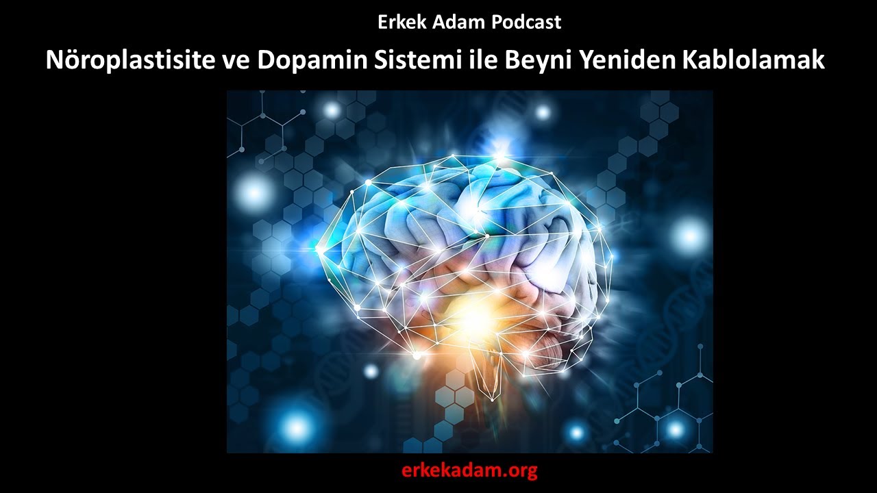 N&ouml;roplastisite ve Dopamin Sistemi ile Beyni Yeniden Kablolamak (T&uuml;rk&ccedil;e Podcast)