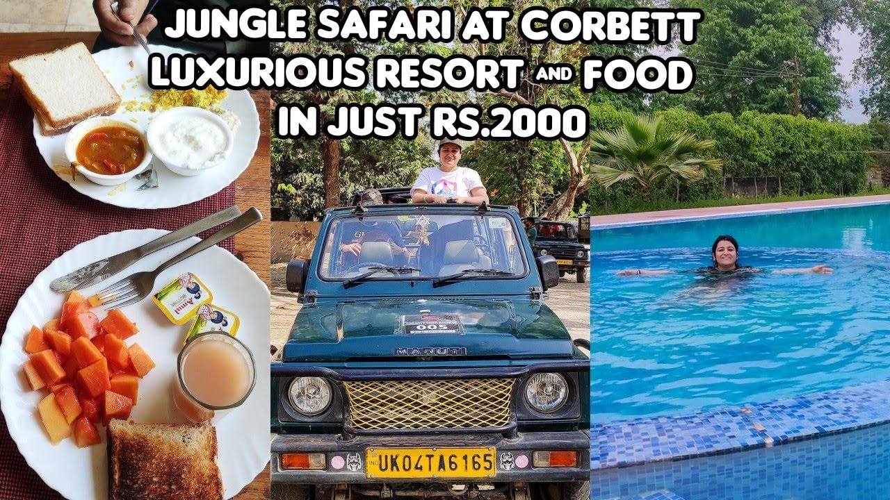 Complete guide to Jim Corbett National park, Budget luxurious stay, Jungle safari, bookings | 2021