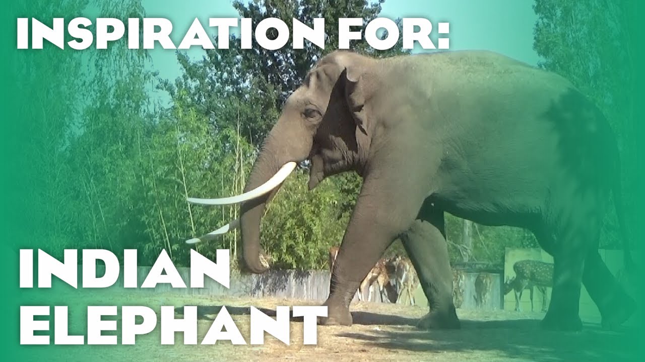 14 Real Asian Elephant Habitats! (Planet Zoo Inspiration)