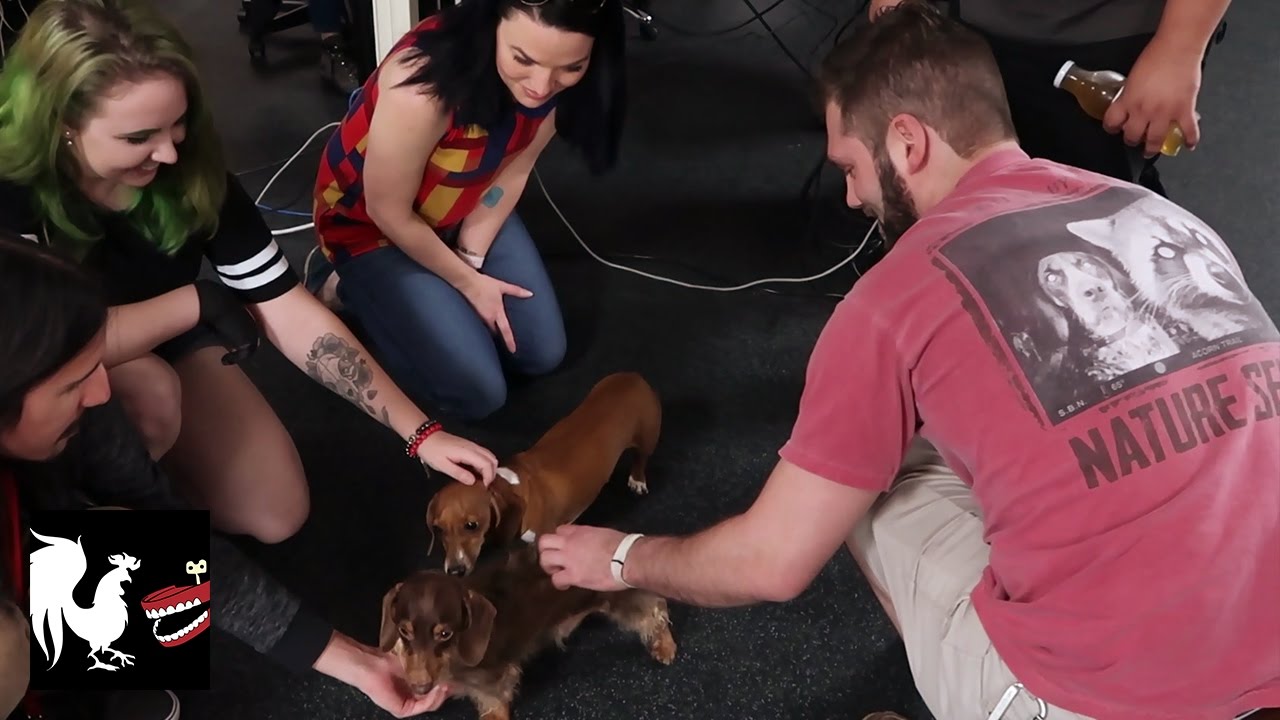 RT Life - Dog Family Reunion