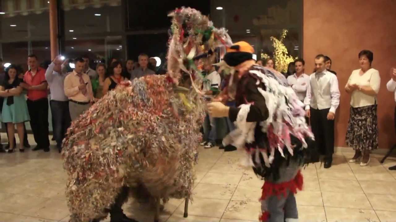 Capra de la Prajesti
