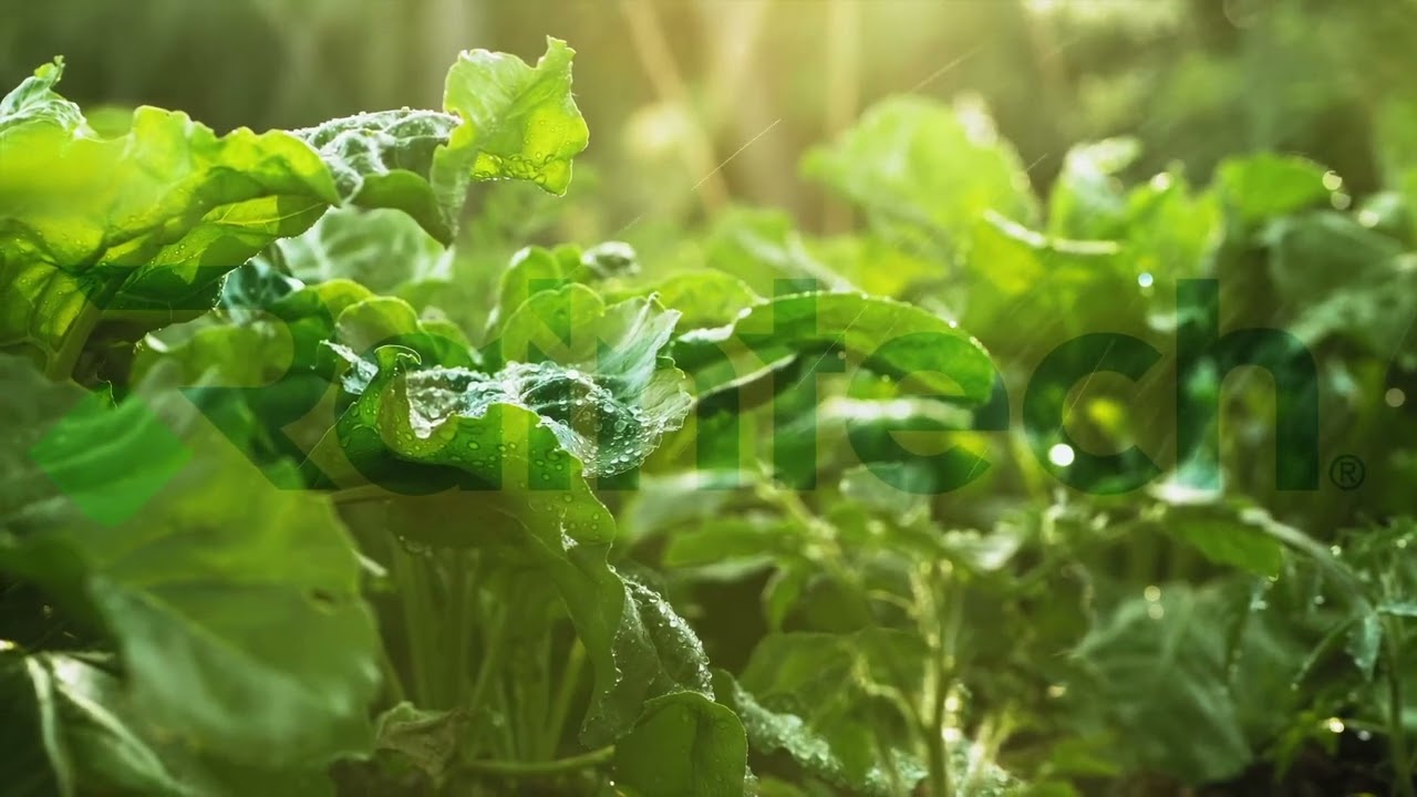 Raintech I Manufacturing Agricultural Irrigation Systems.