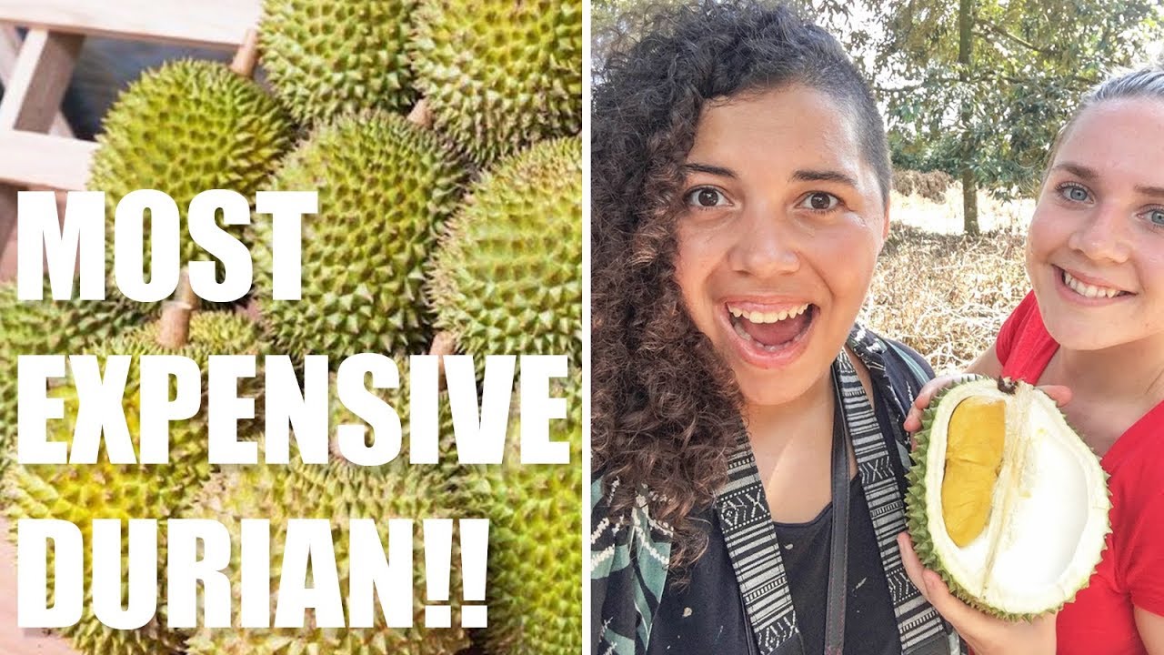 TRYING DURIAN FOR THE FIRST TIME // MUSANG KING