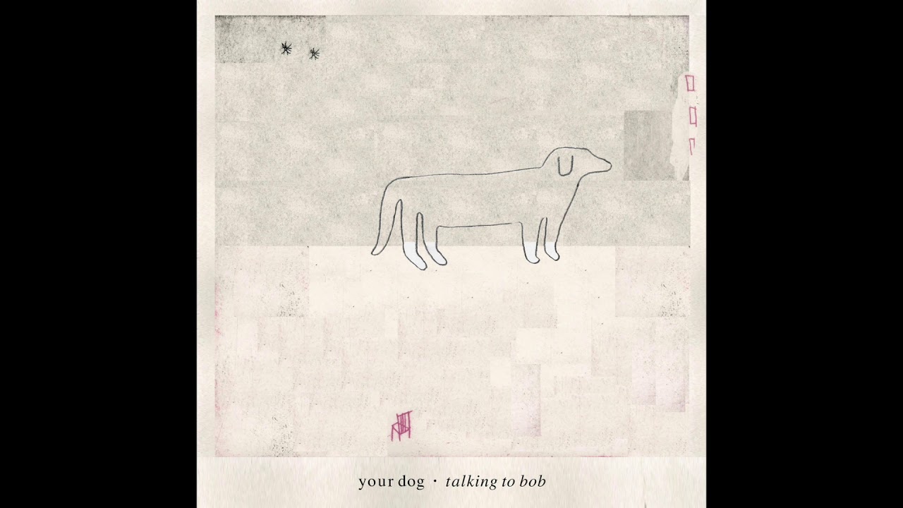 Your Dog - Droool