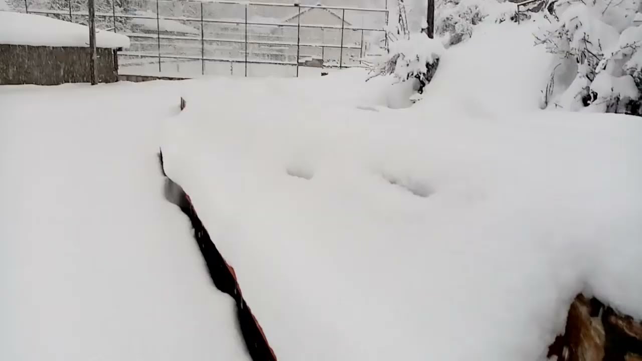 Dimri n&euml; Fshat