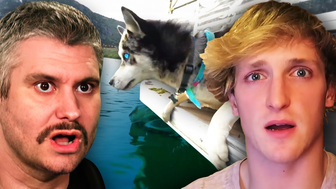 Did Logan Paul Push His Dog Off a Moving Boat?
