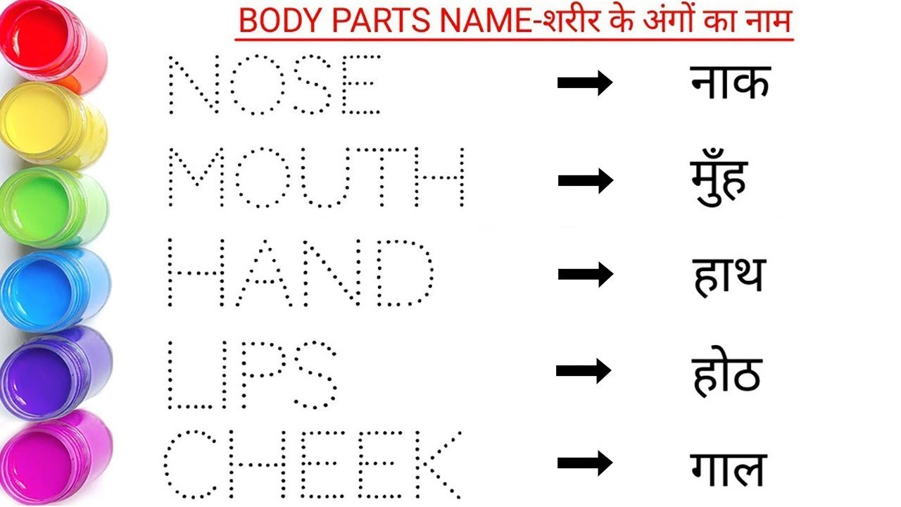 शरीर के अंग || Body parts name || Human body parts name in english and hindi  || 
