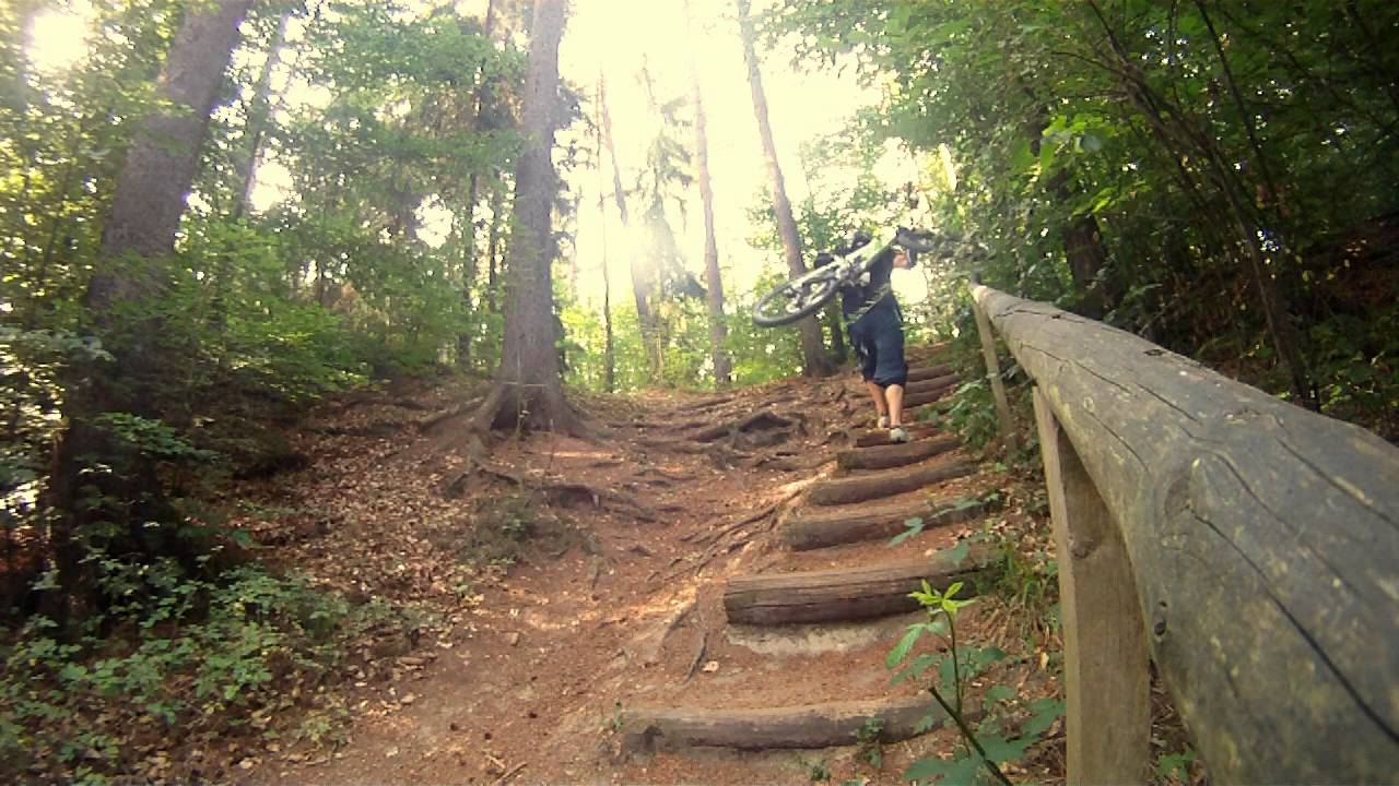 MTB F&uuml;rther Stadtwald Wurzelpassage