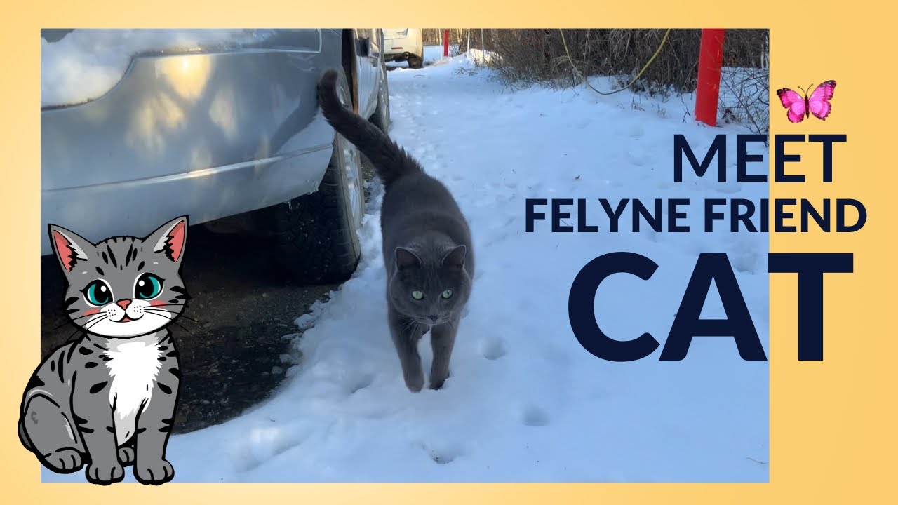Kuya’s Felyne Friend