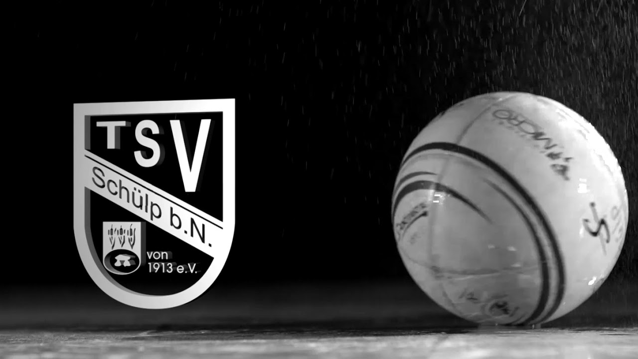 TSV Sch&uuml;lp // Mannschaftsvorstellung der 1. Herren // Faustball