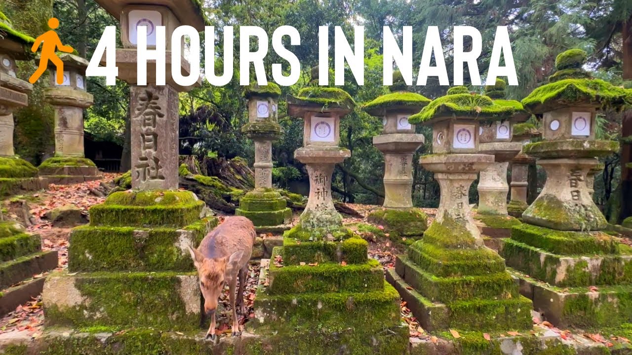 Explore Historic Nara.  Epic 4 Hour Walking Tour - HD  - The Perfect Walk in Japan