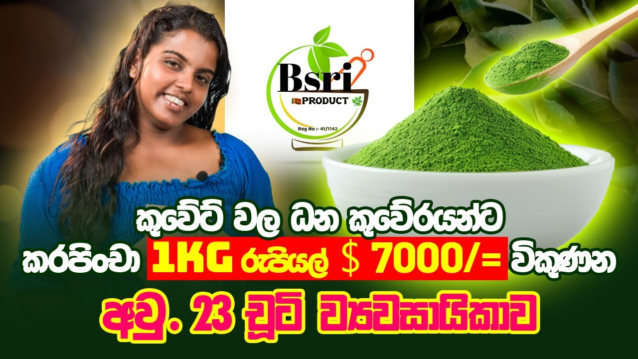 කරපිංචා Powder 1KG එකෙන් Business පටන් ගන්න විදිය | Thailand Food Dehydration | විජලනය | B SRI